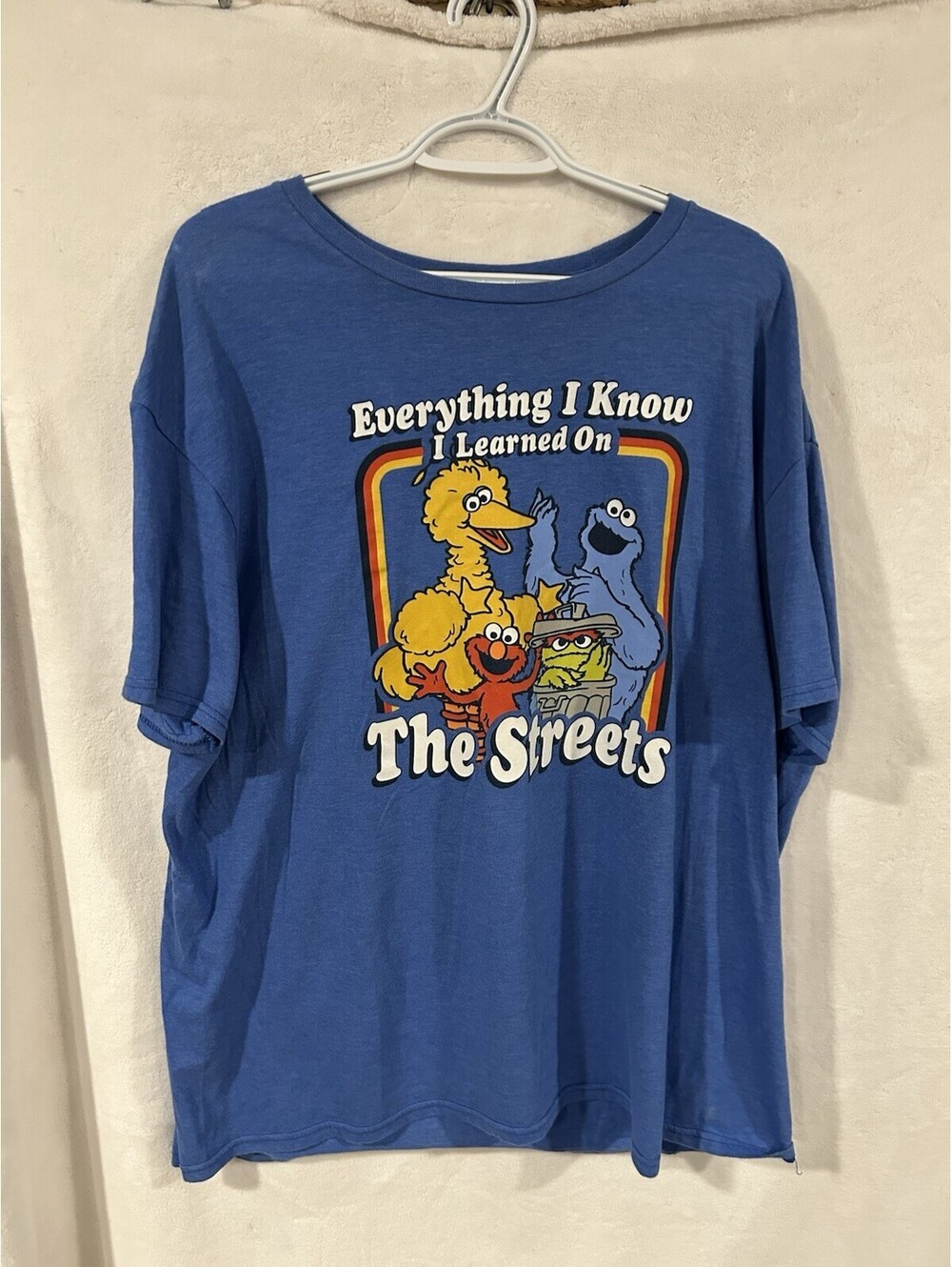 Sesame Street Everything I Know I Learned On The Streets T-Shirt 2X